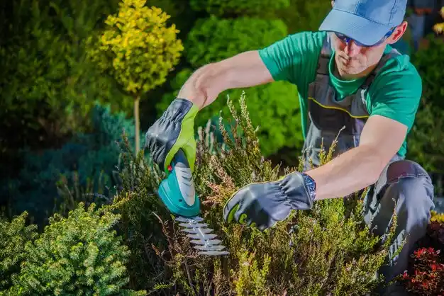 landscaping services Loma Linda